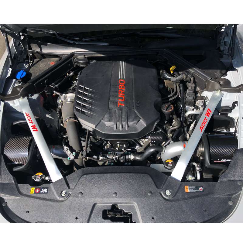 Stinger 3.3 carbon intake system 