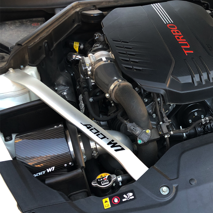 Stinger 2.0 carbon intake system 